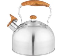 Чайник Agness 2.5 л, со свистком, нержавеющая сталь, индукционное дно 937-903
