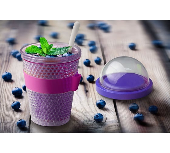 Контейнер Asobu Chill yo 2 go 0.38 л, фиолетовый CY2GO purple