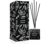 Диффузор Fbrush BLACK AROMA HOME Зимняя вишня 100 мл DSB100-10