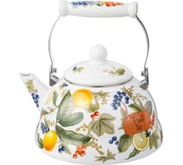 Эмалированный чайник Agness 934-587