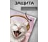 Картина Fbrush Гламурная кошка 2 30x30 см Lm35-13964 3