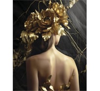 Картина Fbrush Роскошное золото 1 40х50 см kt45-14260