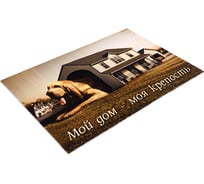 Влаговпитывающий коврик VORTEX Samba 60х90 см. Моя крепость 22423