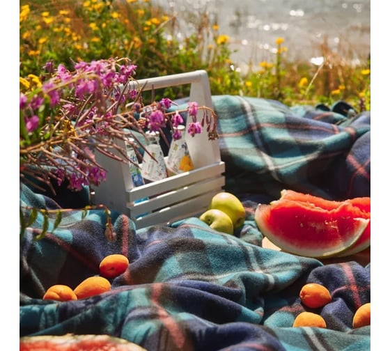 Покрывало-плед Guten Morgen флис, Дамфрис 150x200 см ПКфл-дамф-150-200