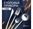 Набор столовых приборов Homium Home 4 прибора, серебро spoon25silver 3