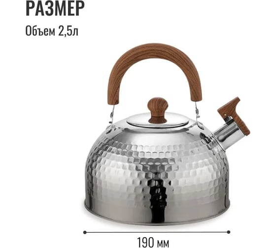 Чайник Homium water2.5Lsilver