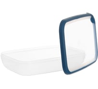 Емкость для морозилки и свч CURVER grand chef 2.6 л, прямоугольная, синяя крышка 00009-831-00