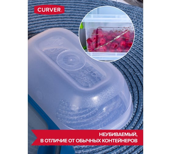 Емкость для морозилки и свч CURVER grand chef 0.5 л, прямоугольная, синяя крышка 00007-831-00