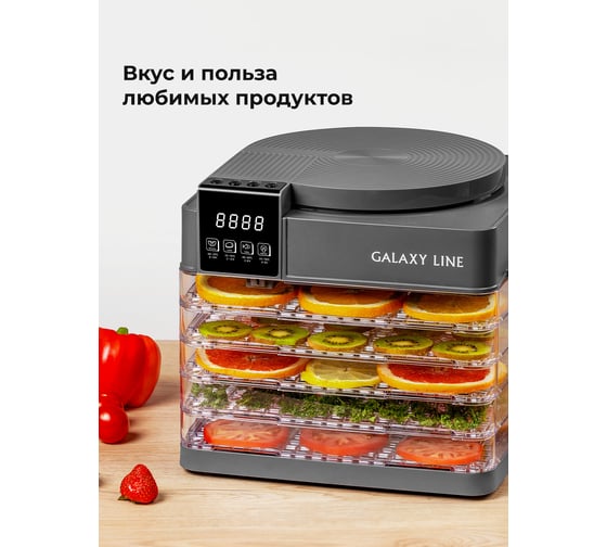 Электросушилка для овощей и фруктов Galaxy LINE GL 2630 серый, 450 Вт 7020926308
