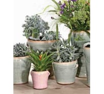 Ваза Scheurich керамика Vase Donna высота 14,5 см розовый 069253