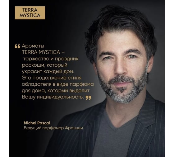 Ароматический диффузор Breesal terra mystica essence сущность 12 BR0001