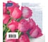 Салфетка бумажная GrandPero deluxe 33x33 см розы 3 слоя 20 листов х 12 2302 2