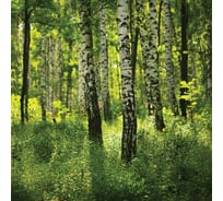 Картина на стекле Декоретто Солнечный лес GS 5023 Декор