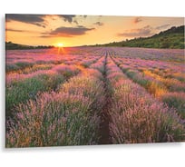 Картина на стекле Декоретто Лавандовые поля GS 8036 Декор