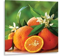 Картина на стекле Декоретто Апельсины GS 5006 Декор