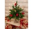 Искусственная ель National Tree Company Грация Премиум 60 см 3D ГР/ПР-60 12