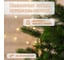 Искусственная ель National Tree Company Грация Премиум 60 см 3D ГР/ПР-60 5