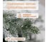 Искусственная ель National Tree Company Рождественская Премиум заснеженная, 210 см РД/ПР/ЗСН-210 4