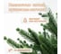 Искусственная ель National Tree Company Сиера 90 см СР-90 4