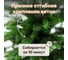 Искусственная ель National Tree Company Сиера 90 см СР-90 6