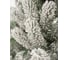 Искусственная ель National Tree Company Сказка заснеженная, 190 см СК/ЗСН-190 24