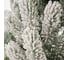 Искусственная ель National Tree Company Сказка заснеженная, 130 см СК/ЗСН-130 8