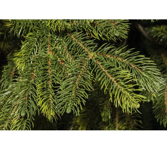 Искусственная ель National Tree Company Таёжная 260 см ТЖ-260