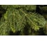 Искусственная ель National Tree Company Таёжная 225 см ТЖ-225 2