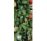Искусственная ель National Tree Company Эверест 150 см ЭВ-150 17