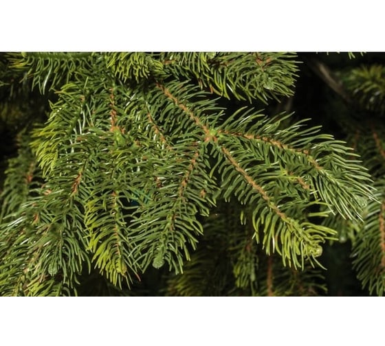 Ель искусственная National Tree Company Таёжная 150 см ТЖ-150