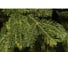 Ель искусственная National Tree Company Таёжная 150 см ТЖ-150 2