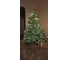 Ель искусственная National Tree Company Рождественская Премиум 210 см РД/ПР-210 13