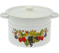 Кастрюля эмалированная Сибирские товары цилиндрическая 8 л декор с пластмассовой кнопкой С1620.3 ТП5596