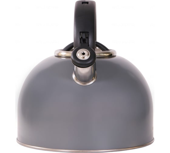 Чайник Willmark WTK-4810SS 4л, со свистком, Easy spout open, темно-серый 2001461