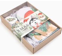 Подарочный набор Доляна Кошечка : варежка-прихватка, лопатка силикон 9905520