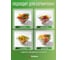 Салатник стеклянный с ручками PERFECTO LINEA 450 мл, Clear, 22-450200 ЦЕ-0044605440 3