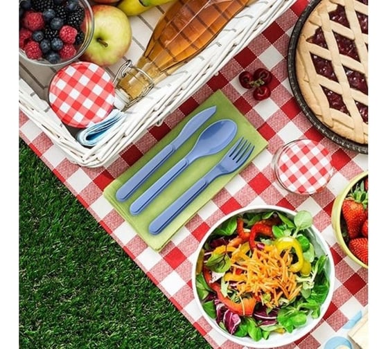 Набор столовых приборов Titiz Plastik Lovely AP-9144
