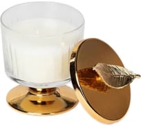 Свеча OMS collection Дилдаде 2022-9