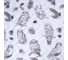Покрывало LoveLife Owls 1.5 спальное, 150х210±5 см, микрофайбер, 100% п/э 9629508 2