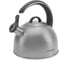 Чайник металлический Starwind Chef Family SW-CH1106 2.8 л, серебристый 1869528 4
