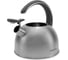 Чайник металлический Starwind Chef Family SW-CH1106 2.8 л, серебристый 1869528 6
