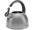 Чайник металлический Starwind Chef Family SW-CH1106 2.8 л, серебристый 1869528 7