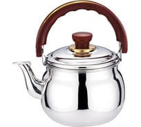 Чайник стальной Rainstahl RS/KL 3500-10 1 л х12 3500-10RS/KL