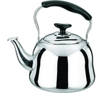 Чайник стальной Rainstahl RS/KL 3505-50 5 л х12 3505-50RS/KL