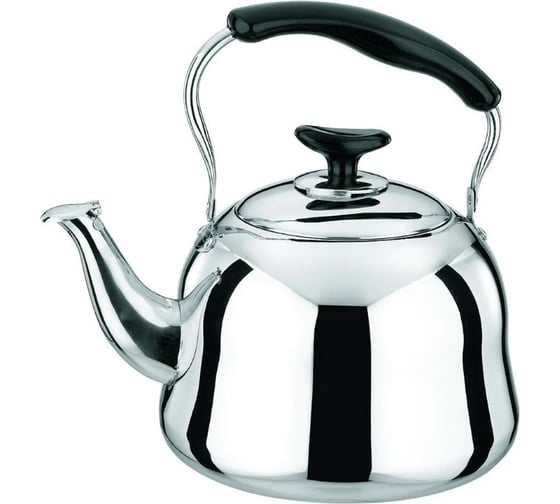 Чайник стальной Rainstahl RS/KL 3505-50 5 л х12 3505-50RS/KL 1