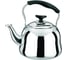 Чайник стальной Rainstahl RS/KL 3505-50 5 л х12 3505-50RS/KL 1