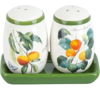 Набор для специй Dolomite солонка/перечница Fruit Garden 11x6х8,5 см, на керамической подставке L2521143