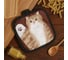 Прихватка Доляна Котики Муся 17x17 см 100% полиэстер 9437948 4