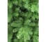 Искусственная ель BEATREES Dunhill Slim 2.4 м 1032324 3