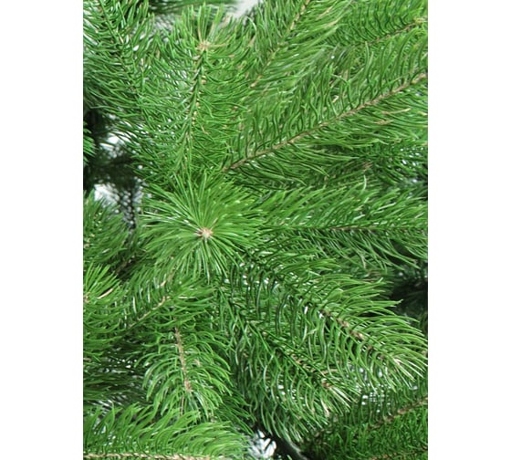 Искусственная ель BEATREES Лира 1,8 м 1032418
